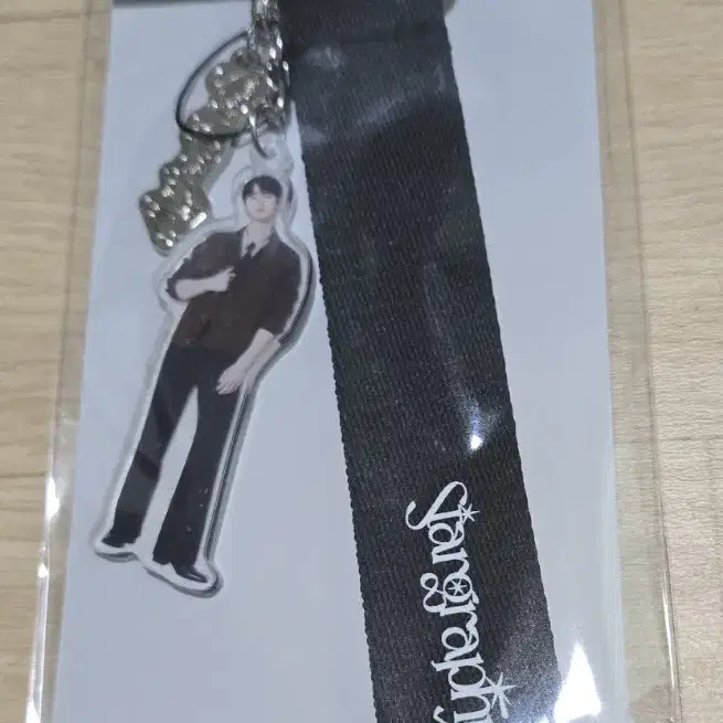 Astro Eunwoo Stargraphy MD Strap Keyring on Bunjang Global Site.
