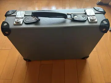 글로브 트로터 아타셰 케이스
