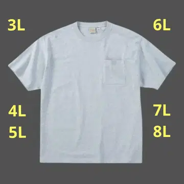 Goodwear USA 코튼 포켓 반팔 티셔츠 wgfn6