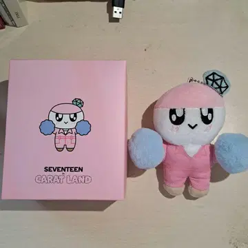 세븐틴 모자 꽁지 CARAT LAND 2023