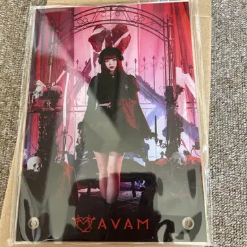 AVAM 오하라 오토하