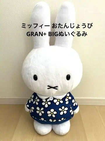 미피 생일 GRAN+ BIG 봉제 인형