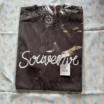 BUMP OF CHICKEN Souvenir TEE M 사이즈 블랙