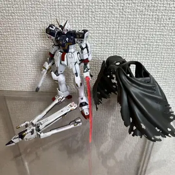 RG 크로스본 건담 X1