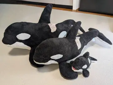 가모가와 씨월드 오카미 봉제 인형 세트 3L