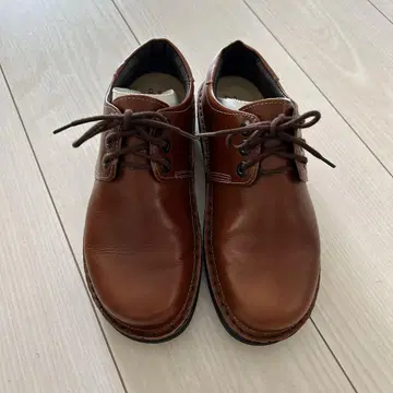 NAOT 다니엘라 체스넛