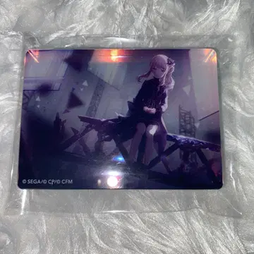 아키야마 미즈키 노블 아트