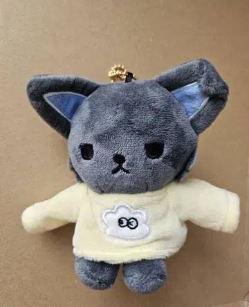 JOCHUM 피 하이 마스코트