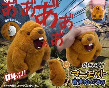 수컷의 울음소리! 마모트 음성 봉제 인형