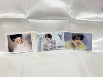 나니와 단시 트레이딩 카드 세트