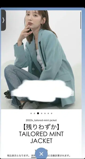 BLUE PALANG 테일러드 자켓 MINT