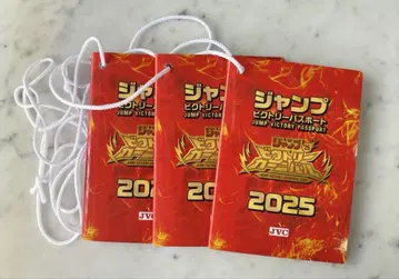 점프 빅토리 여권 2025 점프 페스타 빅토리 카니발