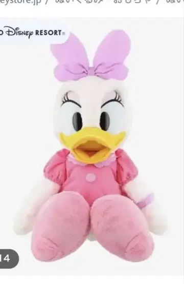 봉제 인형 데이지 약 60cm