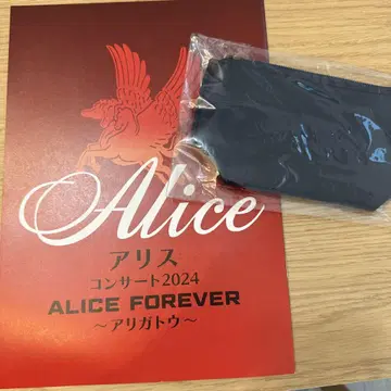 앨리스(ALICE) 콘서트 팜플렛 2024와 에코 파우치