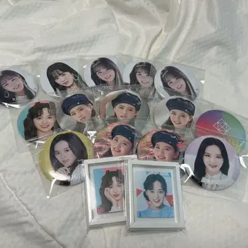 niziu 리오 캔 배치