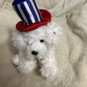 TY 봉제 인형 개
