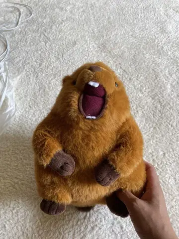 마모트 음성 봉제 인형 시끄러운 수컷의 울음소리!