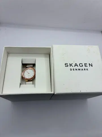스카겐 새상품급 SKAGEN SKW2769 손목시계 QZ