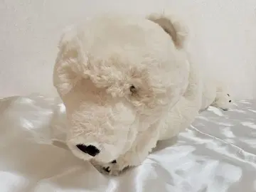 DITZ 화이트 베어