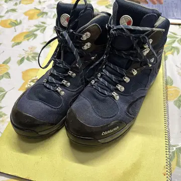 Canyon 등산화 네이비