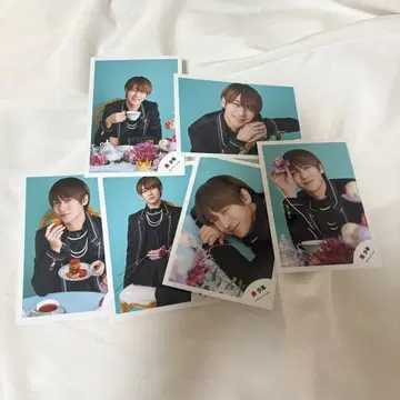 후지이 나오키 미소년 공식 사진 그리포 6장 세트