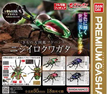 컴플리트 생물대도감 어드밴스 니지이로 사슴벌레