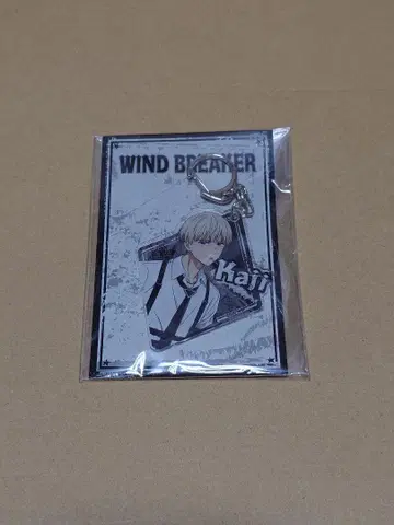 WIND BREAKER 윈브레 카지 렌 락 가죽 키링