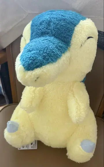 [가격 인하] 포켓몬 히노아라시 봉제 인형