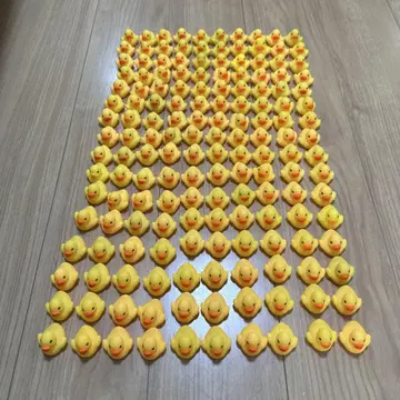 목욕탕 오리 160마리