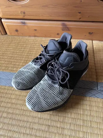리복 FAST FLEXWEAVE CN1404 스니커즈