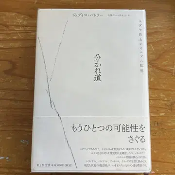 분열의 길: 유대성과 시오니즘 비판