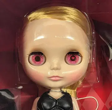 타카라토미 브라이스 네오 브라이스 드론조미츠 브라이스