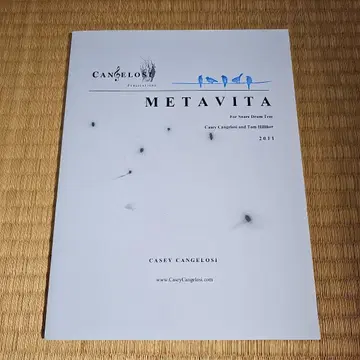 타악기 앙상블 METAVITA