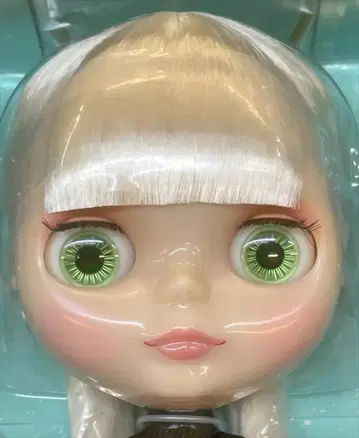 타카라토미 네오 브라이스 19주년 기념일 인형 도쿄 브라이트