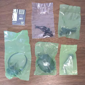 생물대도감 어드밴스 코카서스 오오카부토 자와 섬