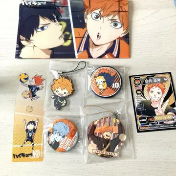 하이큐!! SHOYO HINATA 굿즈