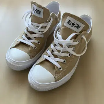 ALL STAR 베이지 로우 컷 스니커즈