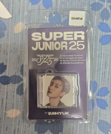 미개봉 새상품 슈퍼주니어 25 Smini 은혁