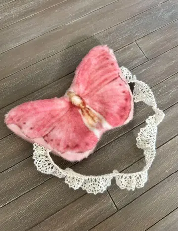 브라이스 안대 작가 나비
