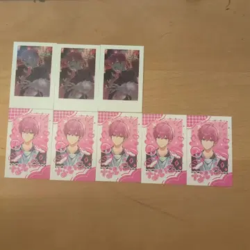 이레이스 나이고 폴라로이드 트레이딩 카드