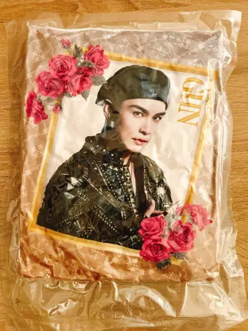 이와타 타카노리 쿠션