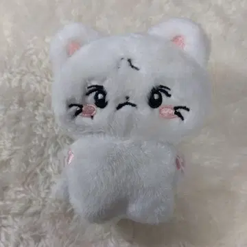 ENHYPEN 정원 봉제 인형 인형