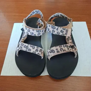 Teva 레오파드 무늬 스포츠 샌들