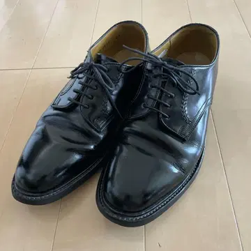 REGAL 리갈 플레인토 외부 깃털 25cm 4088 JR33 비즈니스