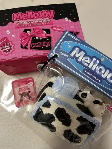 diyjojo 스퀴즈 소