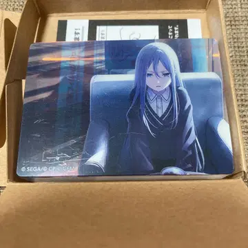 프로세카 노블 아트 연주