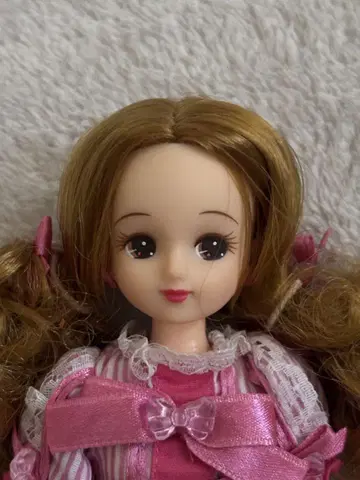 선물 리카짱