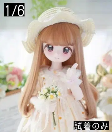 인형 가발 카카 플래닛 롱 1/6 15-17cm