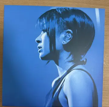 우타다 히카루 Laughter in the Dark DVD 2장