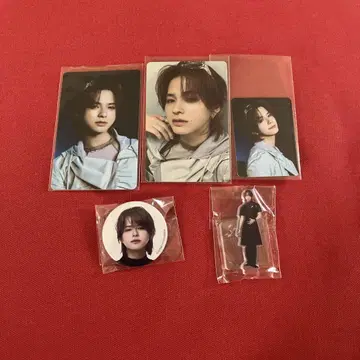 INI 마츠다 슌 트레이딩 카드 등 세트